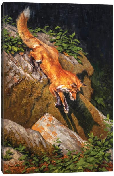 The Red Bandit Canvas Art Print - Golden Hour Animals