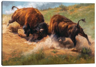 Thunder Clap Canvas Art Print - Bison & Buffalo Art