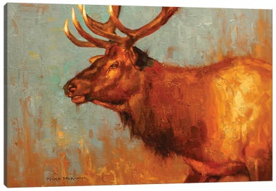 Timber Bull Canvas Art Print - Golden Hour Animals