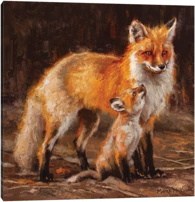 Admiration Canvas Art Print - Fox Art