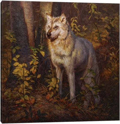 Apparition Canvas Art Print - Wolf Art
