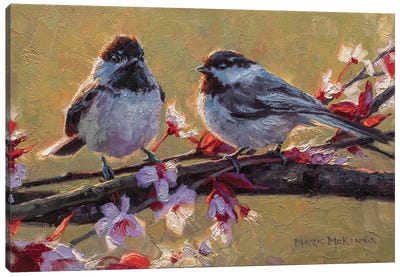 Chickadees Canvas Art Print - Mark McKenna