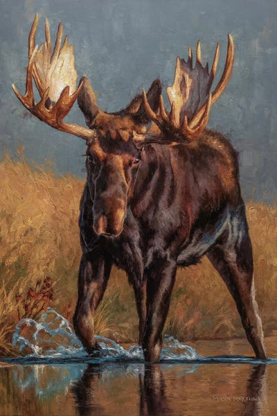 Golden Hour Animals: Comin' Through by Mark McKenna