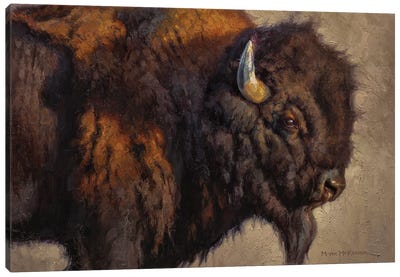 El Jefe Canvas Art Print - Bison & Buffalo Art