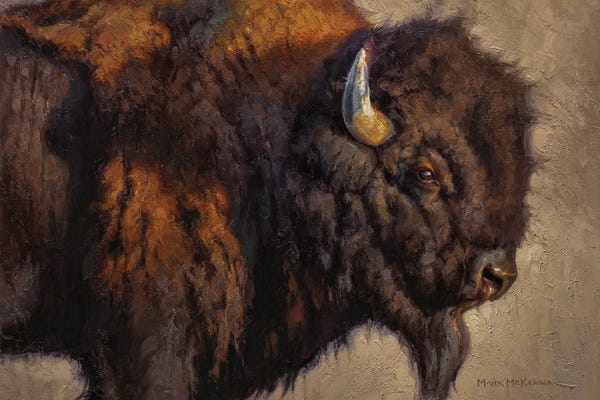 Golden Hour Animals: El Jefe by Mark McKenna