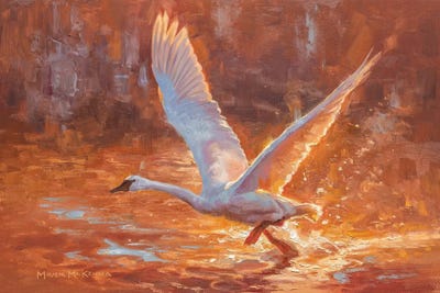 Burst Of Light by Mark McKenna canvas print