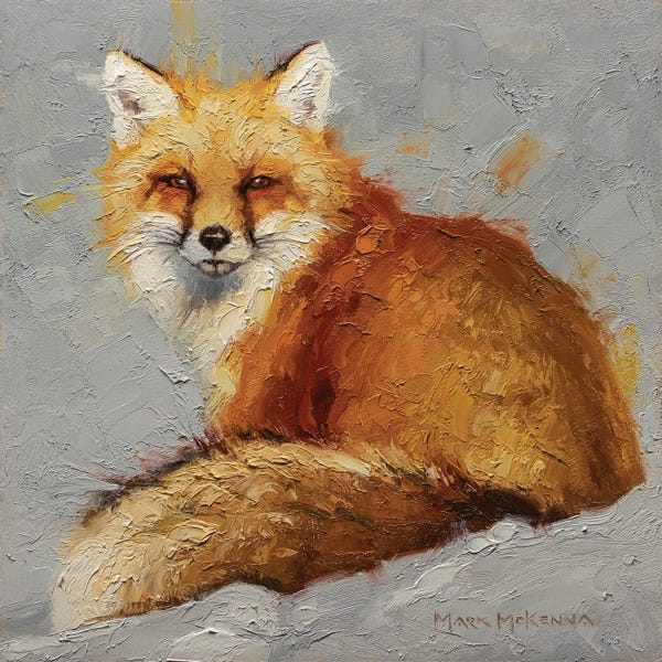Foxes: That Look by Mark McKenna