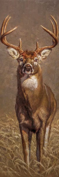 Deer: The New Kid by Mark McKenna