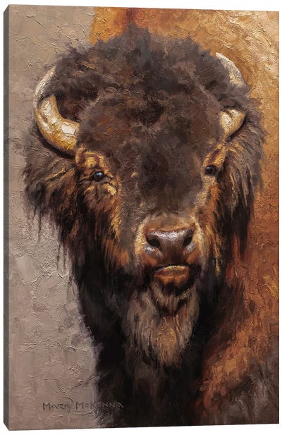 The Veteran Canvas Art Print - Bison & Buffalo Art