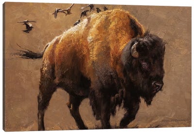 Buffalo Express Canvas Art Print - Golden Hour Animals