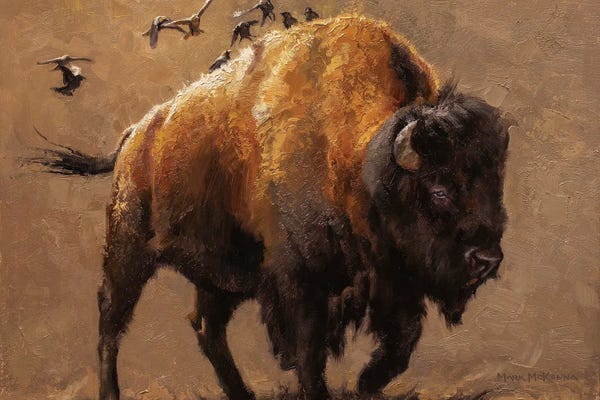 Golden Hour Animals: Buffalo Express by Mark McKenna