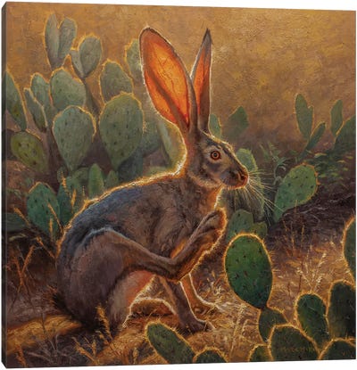 Cactus Jack Canvas Art Print - Rabbit Art