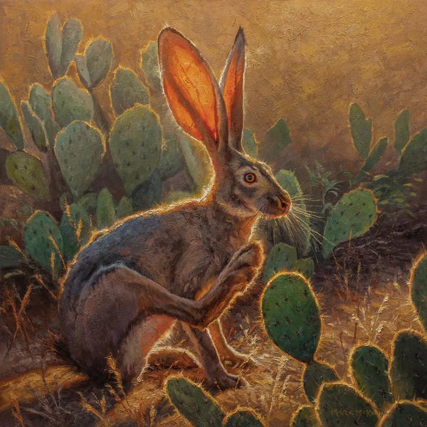 Golden Hour Animals: Cactus Jack by Mark McKenna