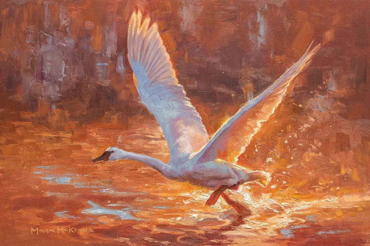 Burst Of Light by Mark McKenna wall art
