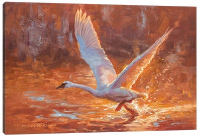 Burst Of Light Canvas Art Print - Swan Art