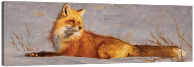 Goldilocks Canvas Art Print - Fox Art