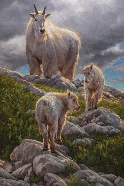 Goats: High Sierra Sanctuary by Mark McKenna