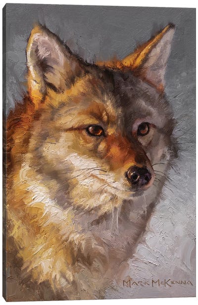 Intent Canvas Art Print - Fox Art