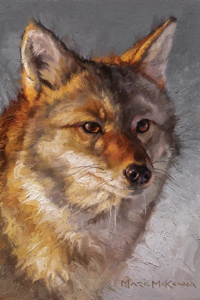 Foxes: Intent by Mark McKenna