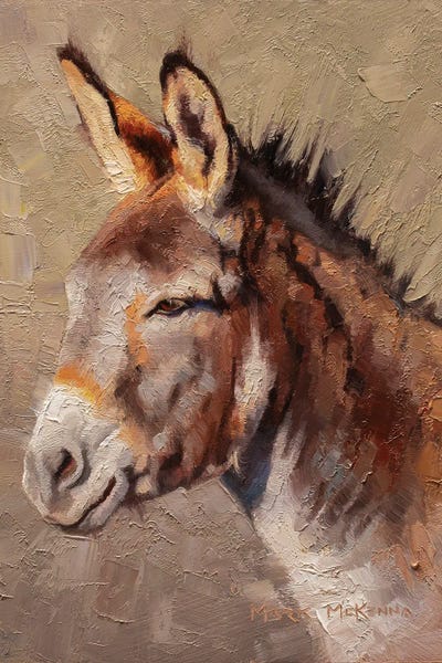 Donkeys: Little Burro by Mark McKenna