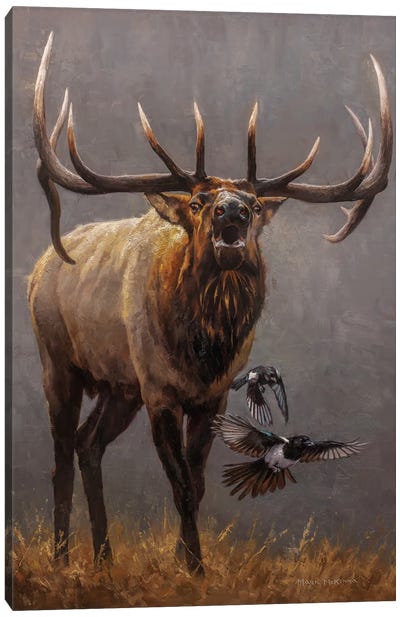 The Posse Canvas Art Print - Deer Art