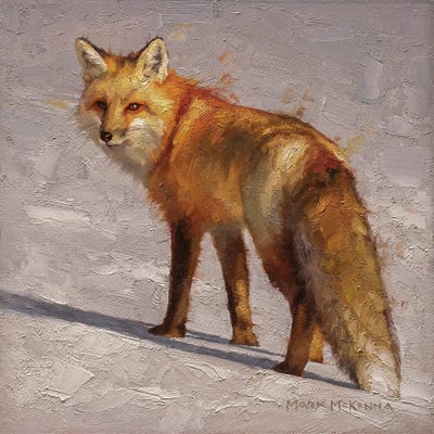 The Wanderer by Mark McKenna canvas print