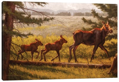 Double Caboose Canvas Art Print - Moose Art