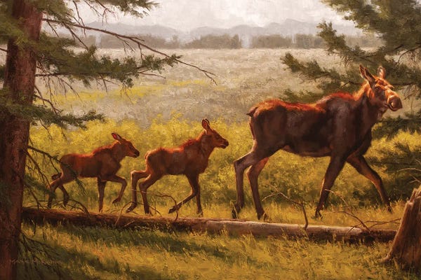 Golden Hour Animals: Double Caboose by Mark McKenna