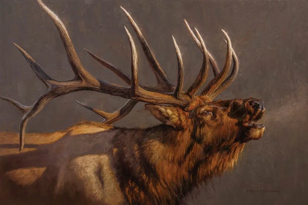 Deer: The Summoner by Mark McKenna