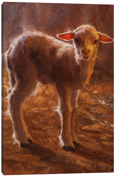 The Lamb Canvas Art Print - Mark McKenna