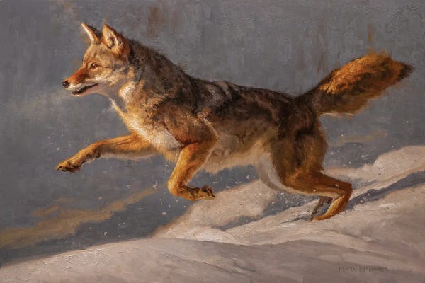 Rustic Winter: Powder Keg by Mark McKenna