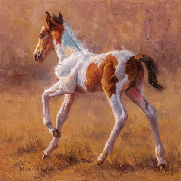 Golden Hour Animals: Painted Prince by Mark McKenna