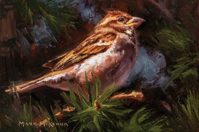 House Sparrow by Mark McKenna art print