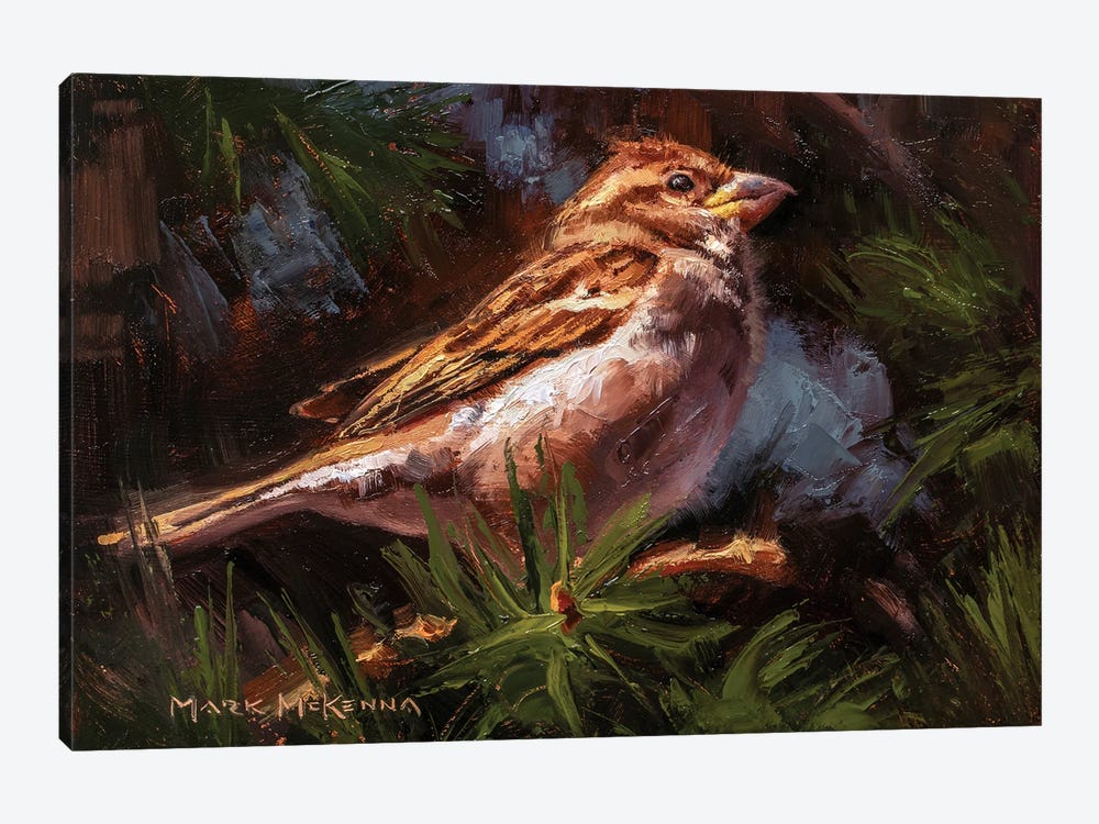 House Sparrow by Mark McKenna 1-piece Canvas Art