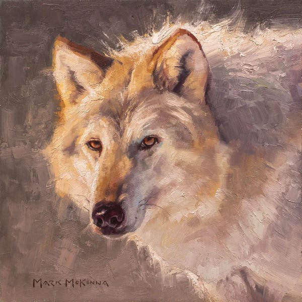 Rustic Winter: Lady In Grey by Mark McKenna