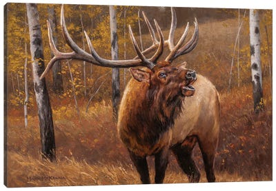 My Side Of The Mountain Canvas Art Print - Deer Art