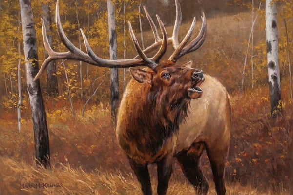 Deer: My Side Of The Mountain by Mark McKenna