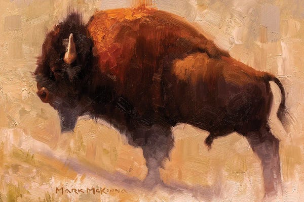 Bison & Buffaloes: Dust & Defeat by Mark McKenna