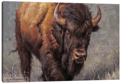 Brush Buster Canvas Art Print - Bison & Buffalo Art