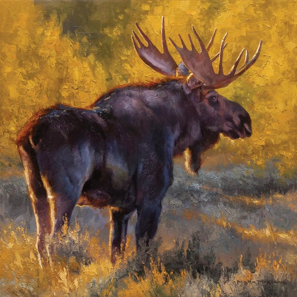 Golden Hour Animals: Brush Hog by Mark McKenna