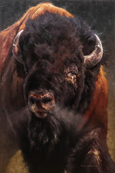 Bison & Buffaloes: Full Steam Ahead by Mark McKenna