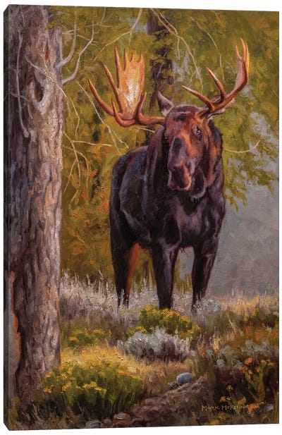 The Monarch Canvas Art Print - Moose Art