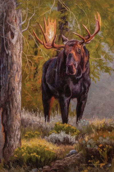 Golden Hour Animals: The Monarch by Mark McKenna