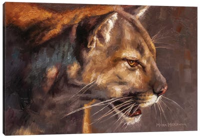 Sleek And Silent Canvas Art Print - Panther Art