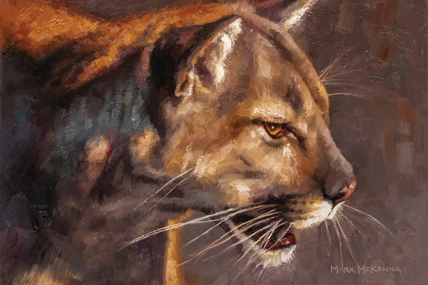 Panthers: Sleek And Silent by Mark McKenna