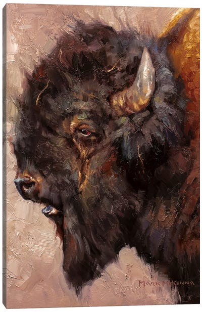 The Patriarch Canvas Art Print - Bison & Buffalo Art