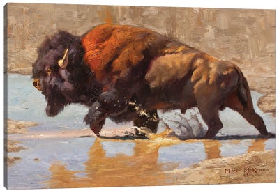 Bulldozer Canvas Art Print - Bison & Buffalo Art