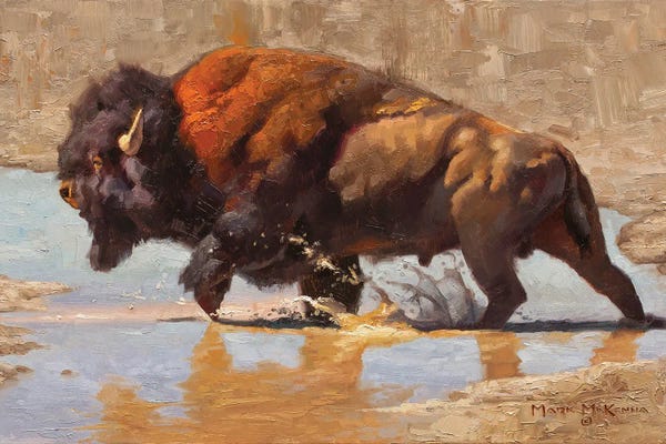 Bison & Buffaloes: Bulldozer by Mark McKenna