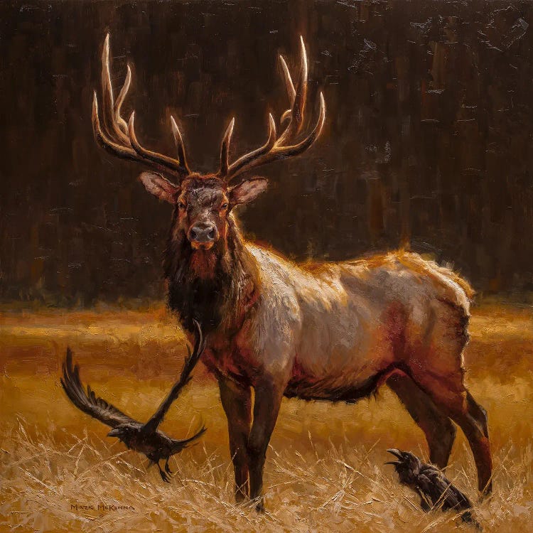 Desperado by Mark McKenna wall art