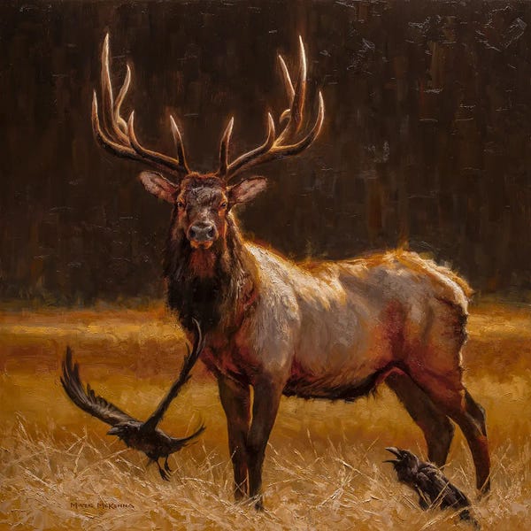 Golden Hour Animals: Desperado by Mark McKenna